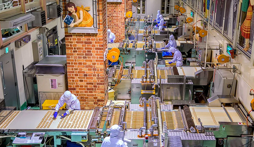 اصول طراحی کارخانه صنایع غذایی