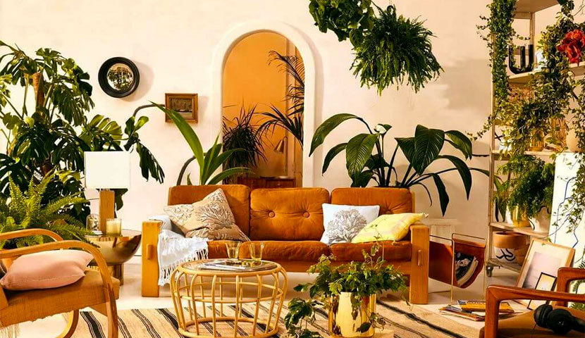 سبک بوهو چیست 